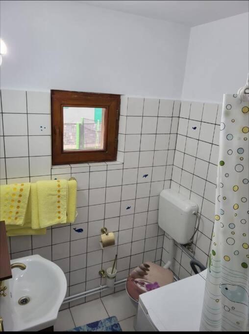 Casa Roza Daire Breaza  Dış mekan fotoğraf